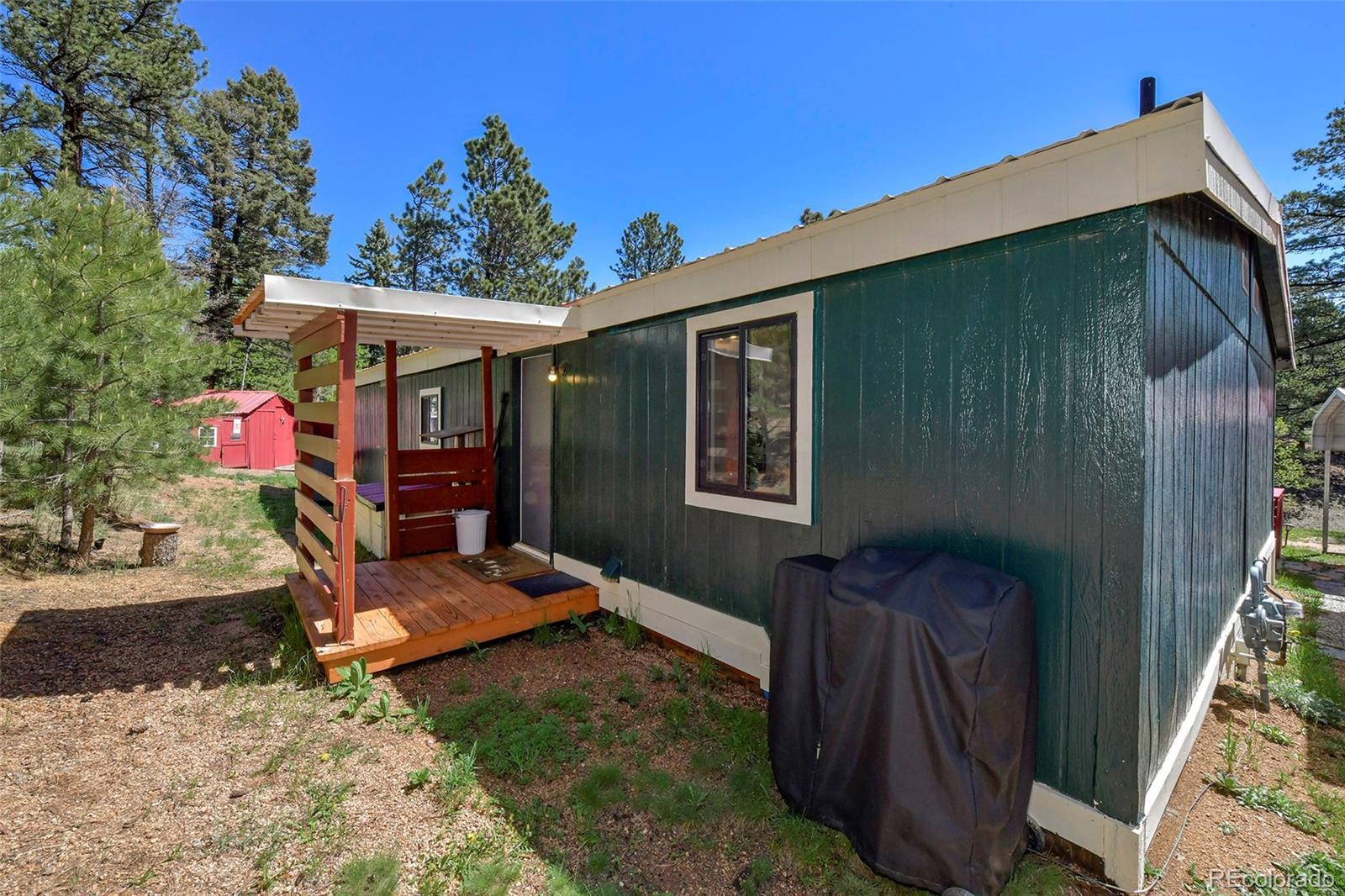 MLS Image #32 for 63  star view trail,divide, Colorado