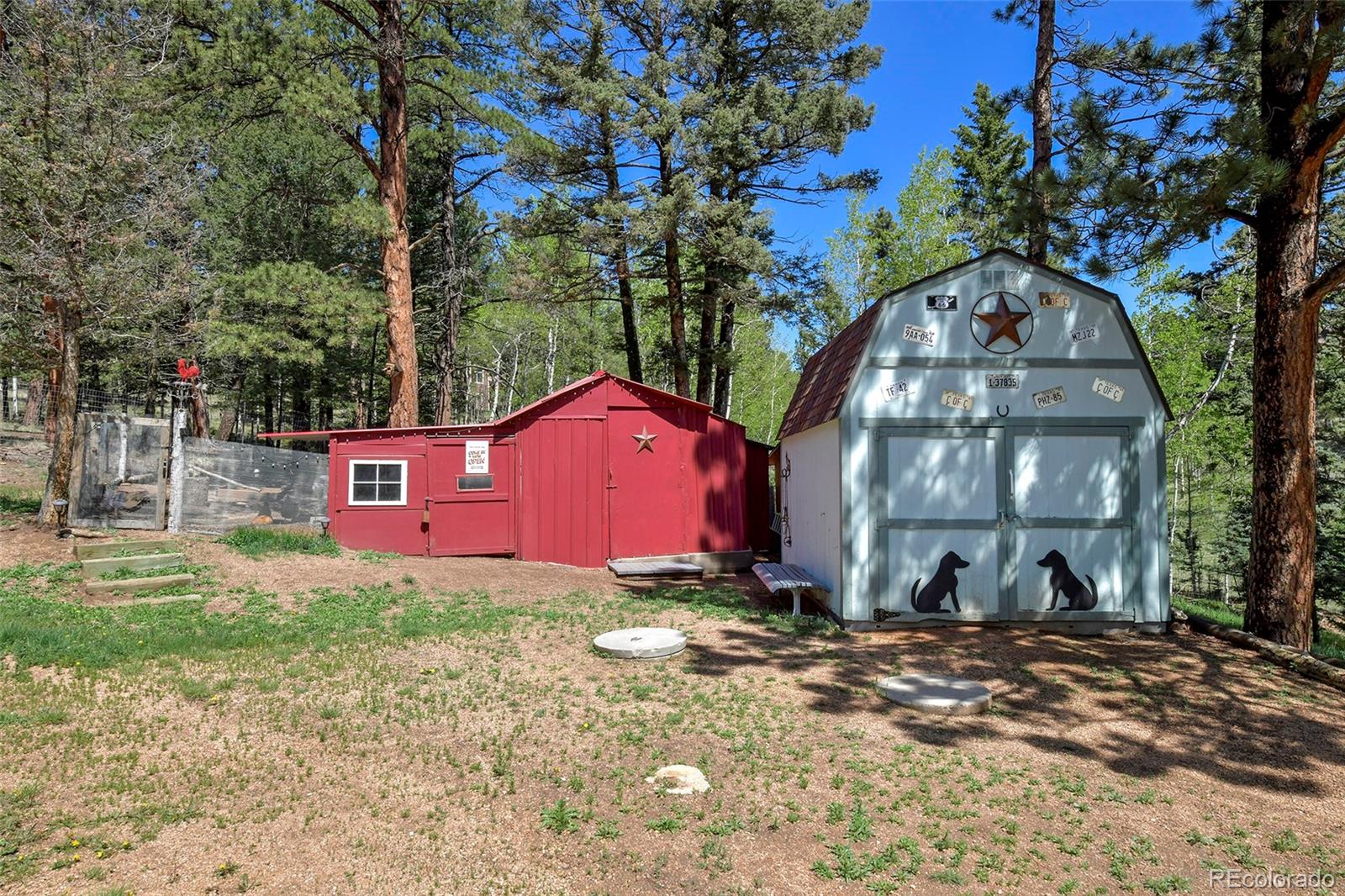 MLS Image #33 for 63  star view trail,divide, Colorado