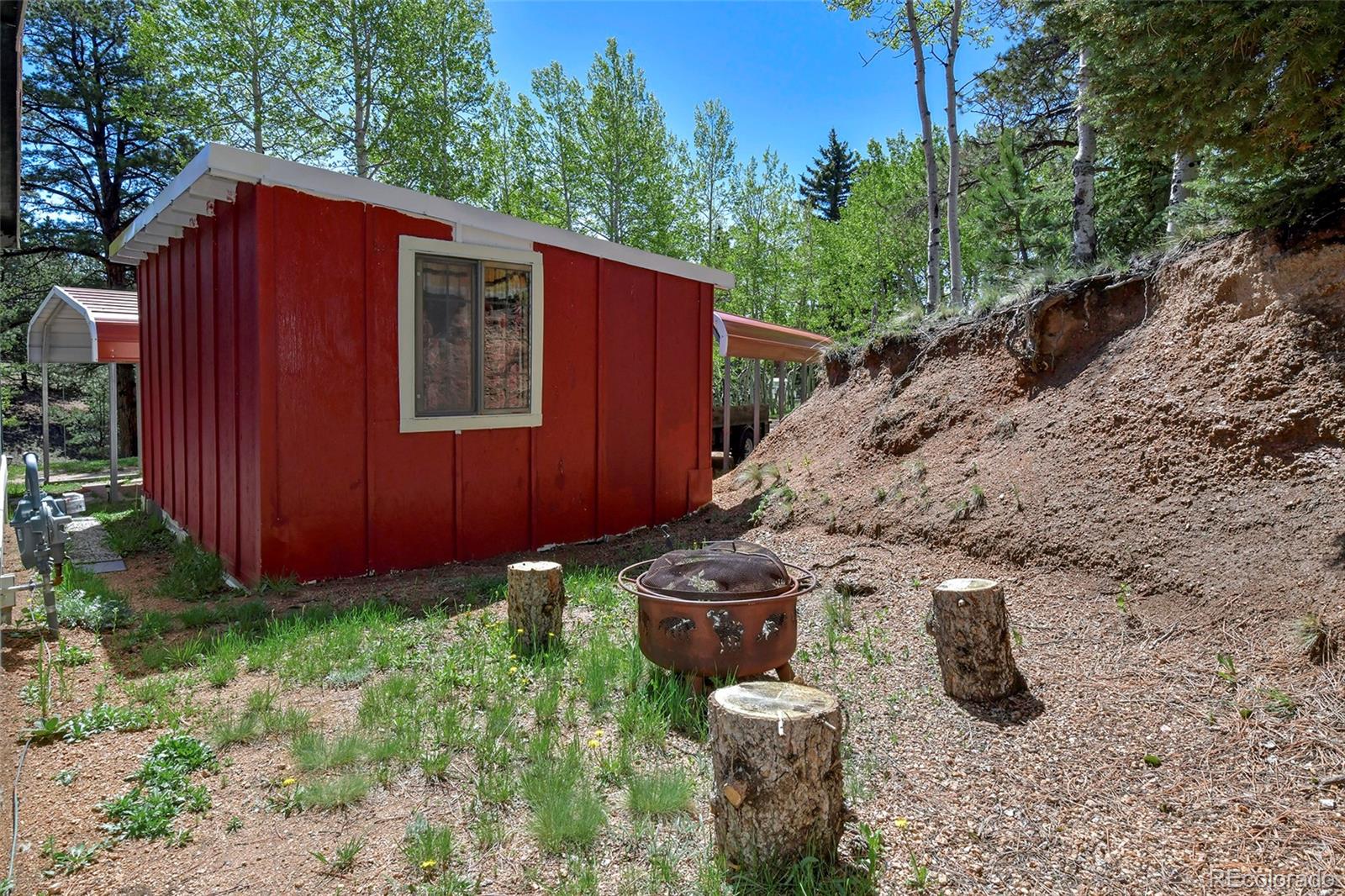 MLS Image #34 for 63  star view trail,divide, Colorado