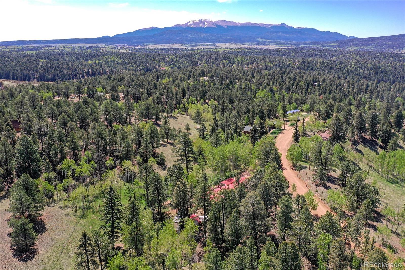 MLS Image #38 for 63  star view trail,divide, Colorado