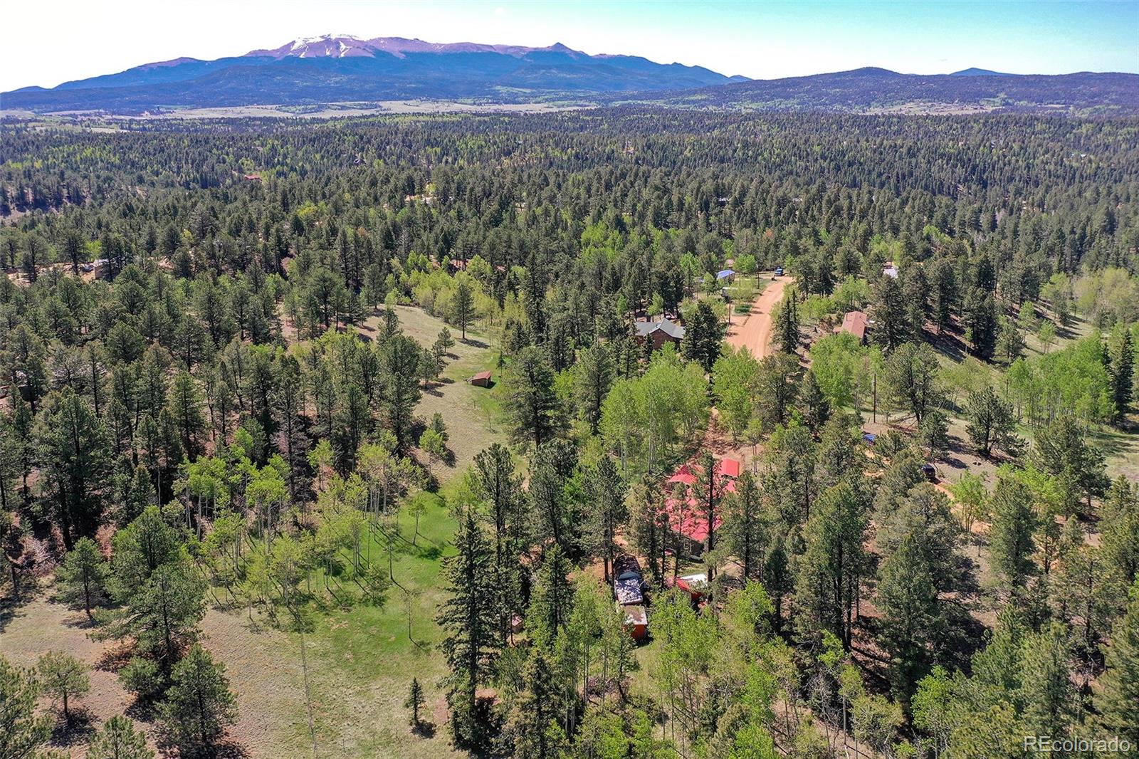 MLS Image #39 for 63  star view trail,divide, Colorado