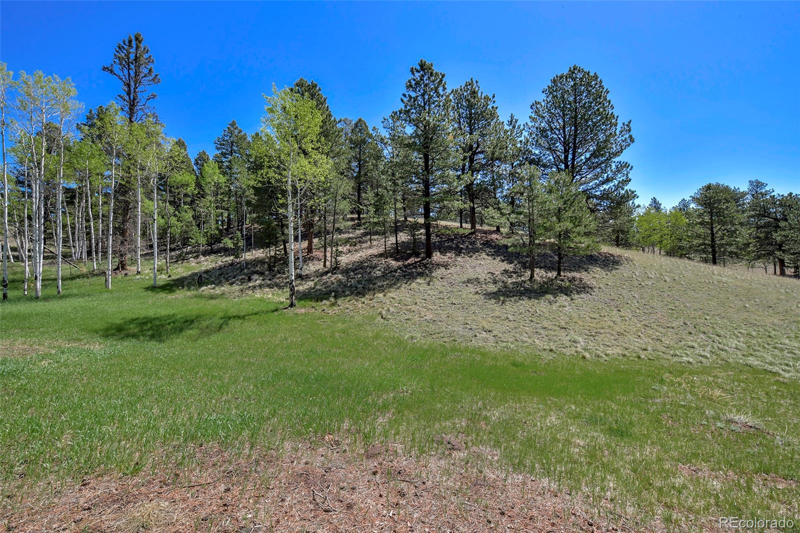 MLS Image #4 for 63  star view trail,divide, Colorado
