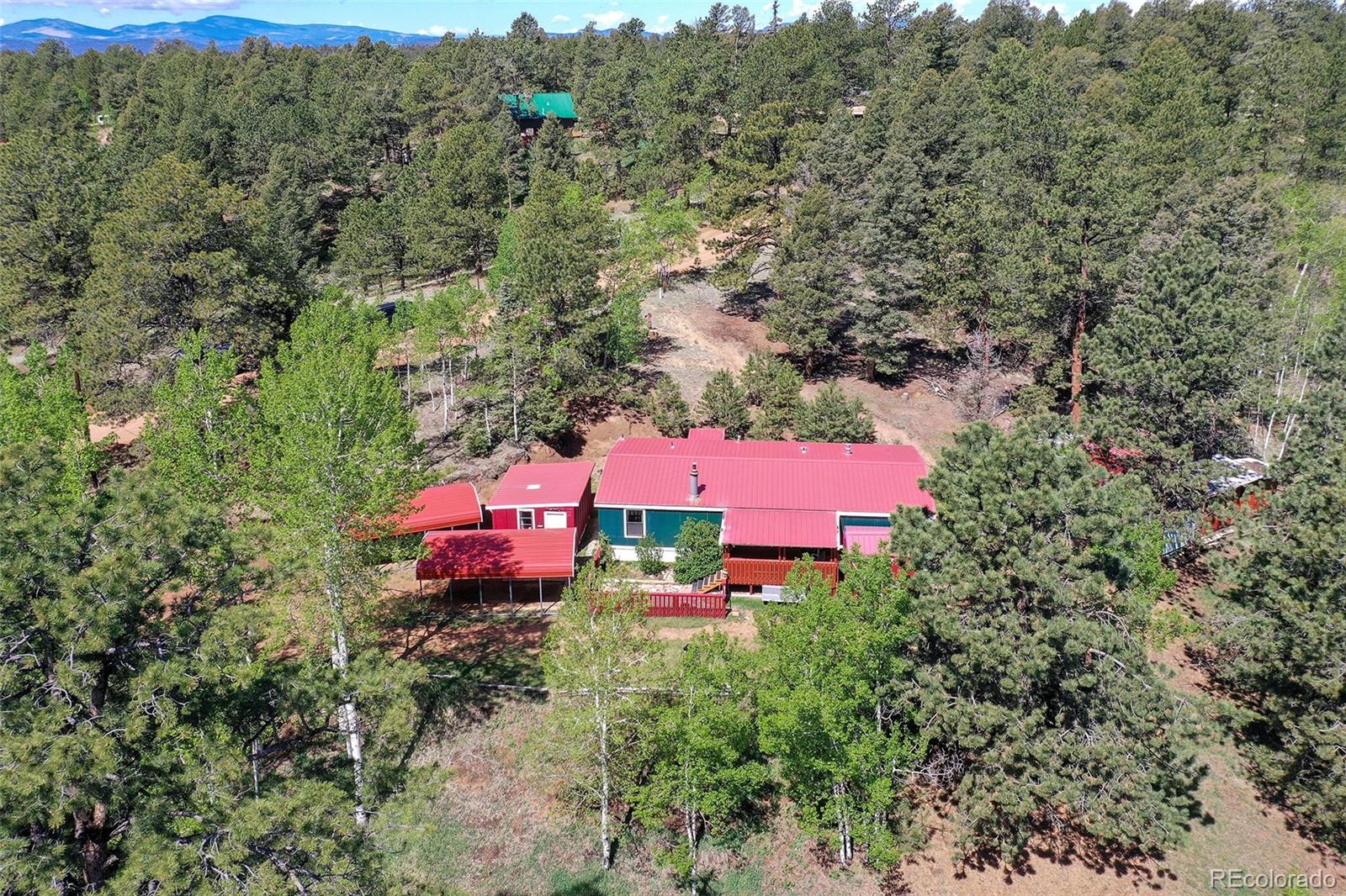 MLS Image #41 for 63  star view trail,divide, Colorado