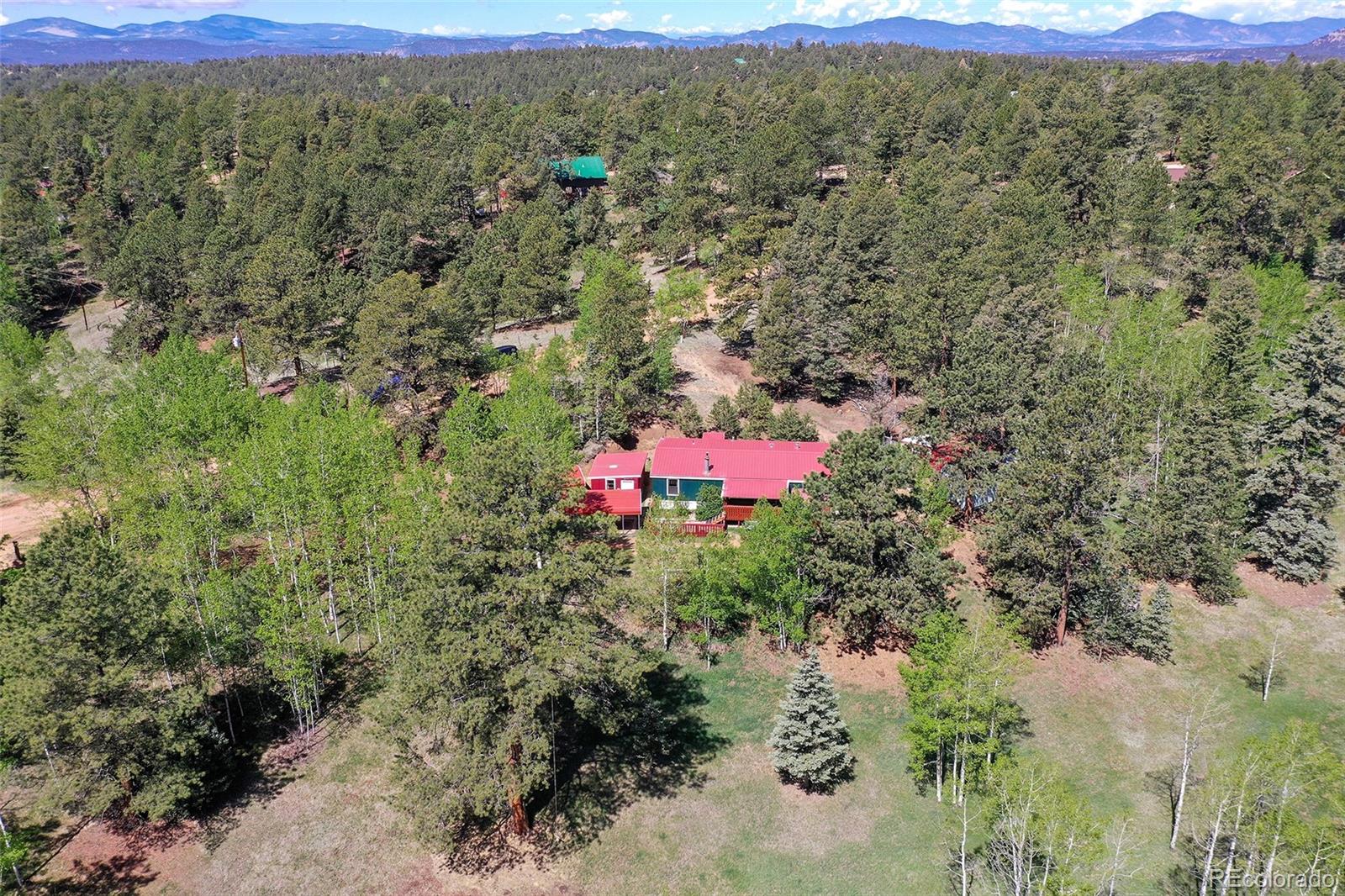 MLS Image #42 for 63  star view trail,divide, Colorado