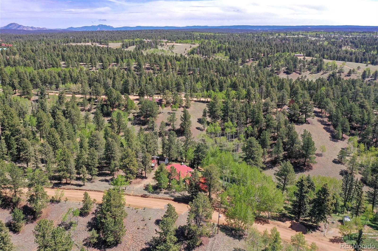 MLS Image #45 for 63  star view trail,divide, Colorado
