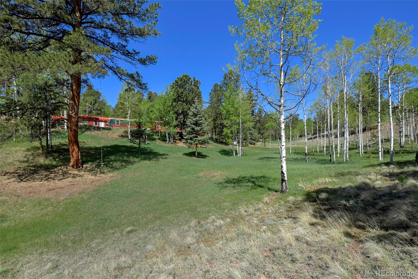 MLS Image #5 for 63  star view trail,divide, Colorado