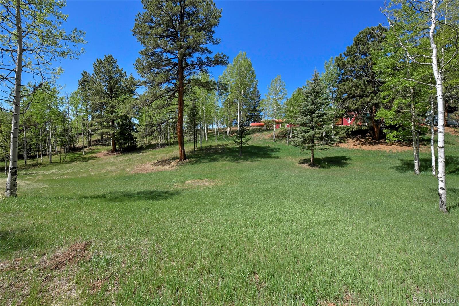 MLS Image #6 for 63  star view trail,divide, Colorado