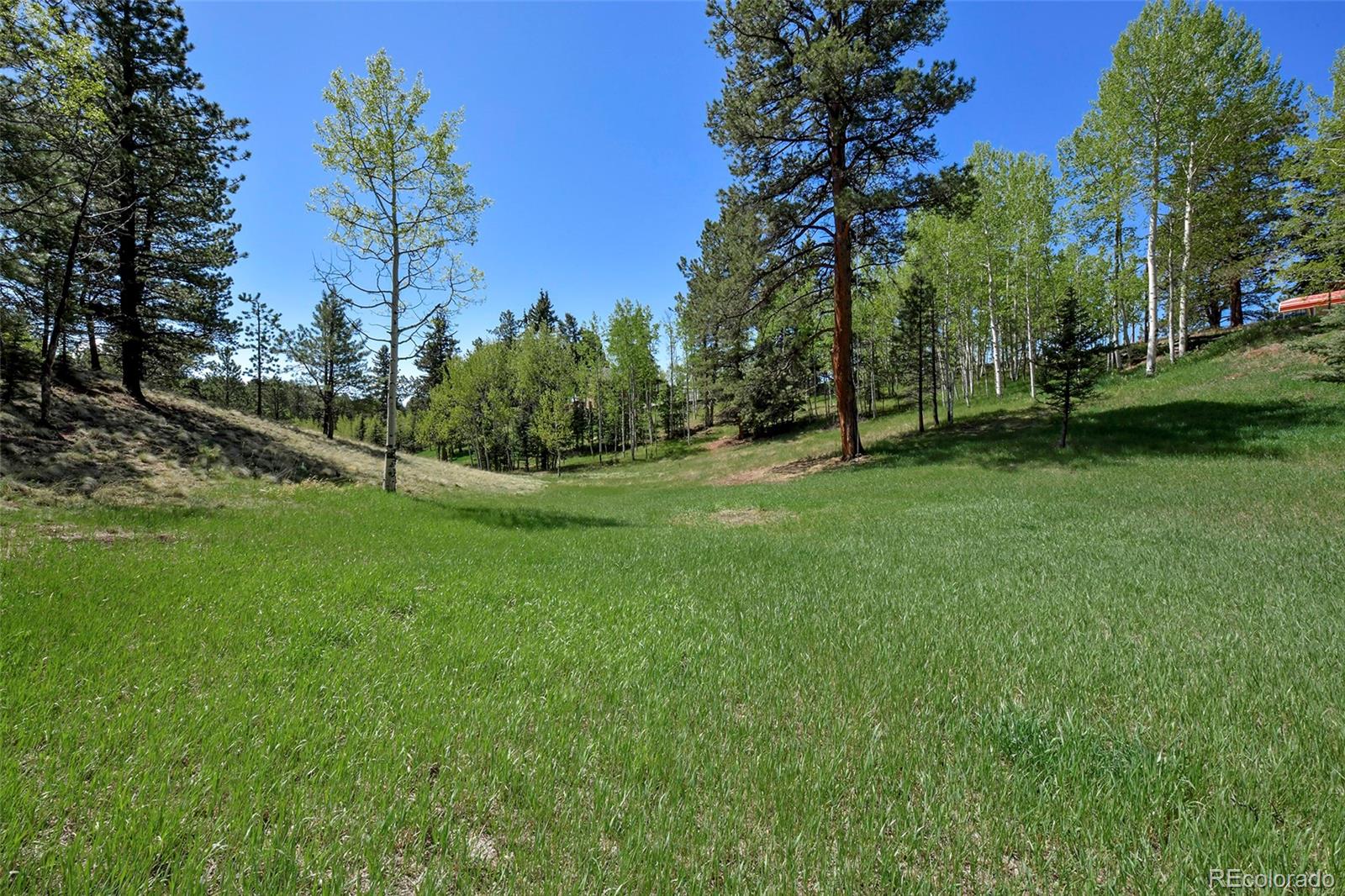 MLS Image #7 for 63  star view trail,divide, Colorado