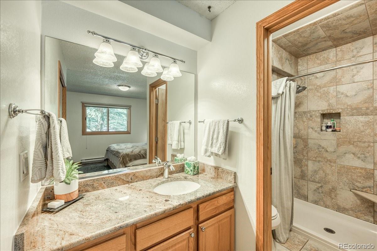 MLS Image #25 for 23004  us highway 6 ,keystone, Colorado