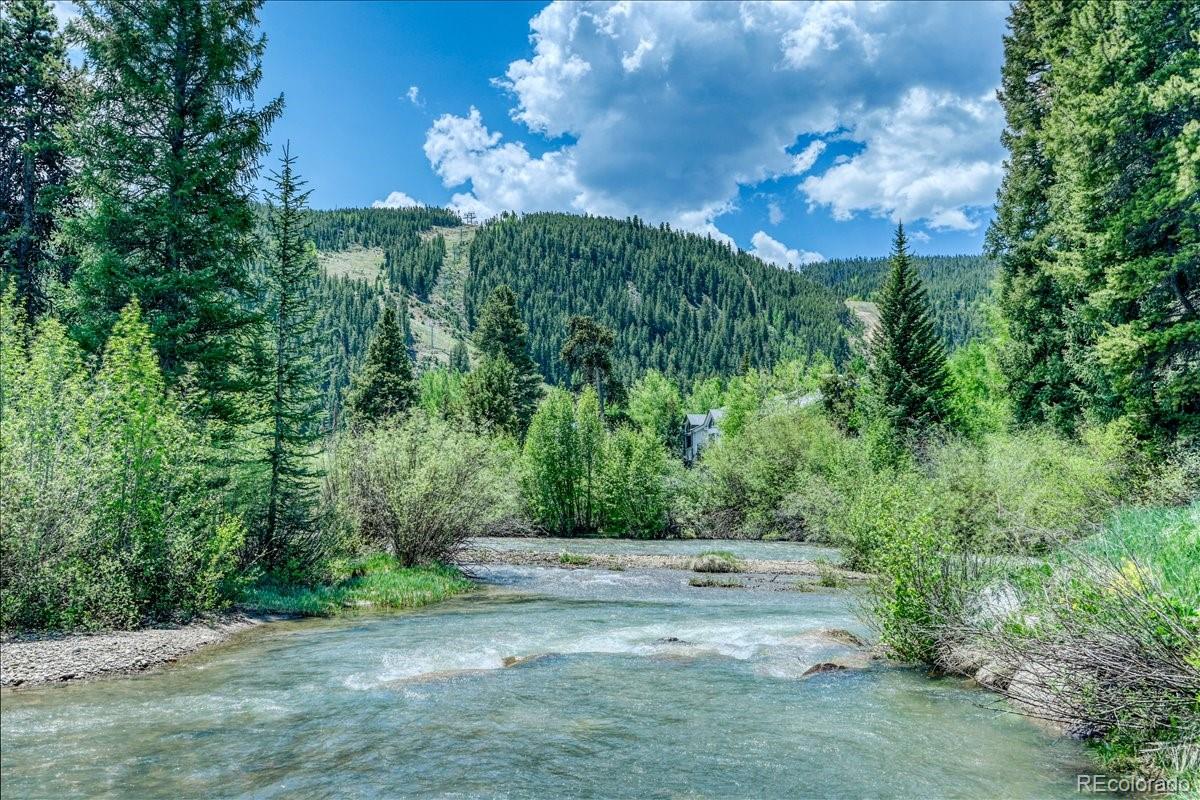 MLS Image #4 for 23004  us highway 6 ,keystone, Colorado