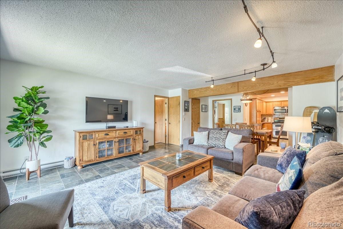 MLS Image #9 for 23004  us highway 6 ,keystone, Colorado
