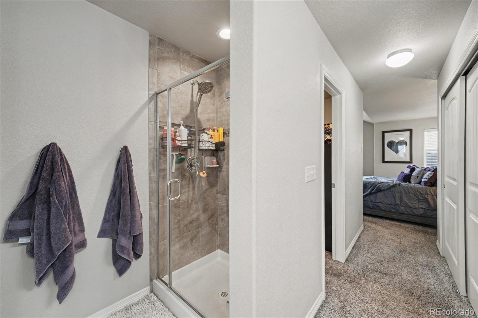 MLS Image #7 for 14877  lineback drive,mead, Colorado