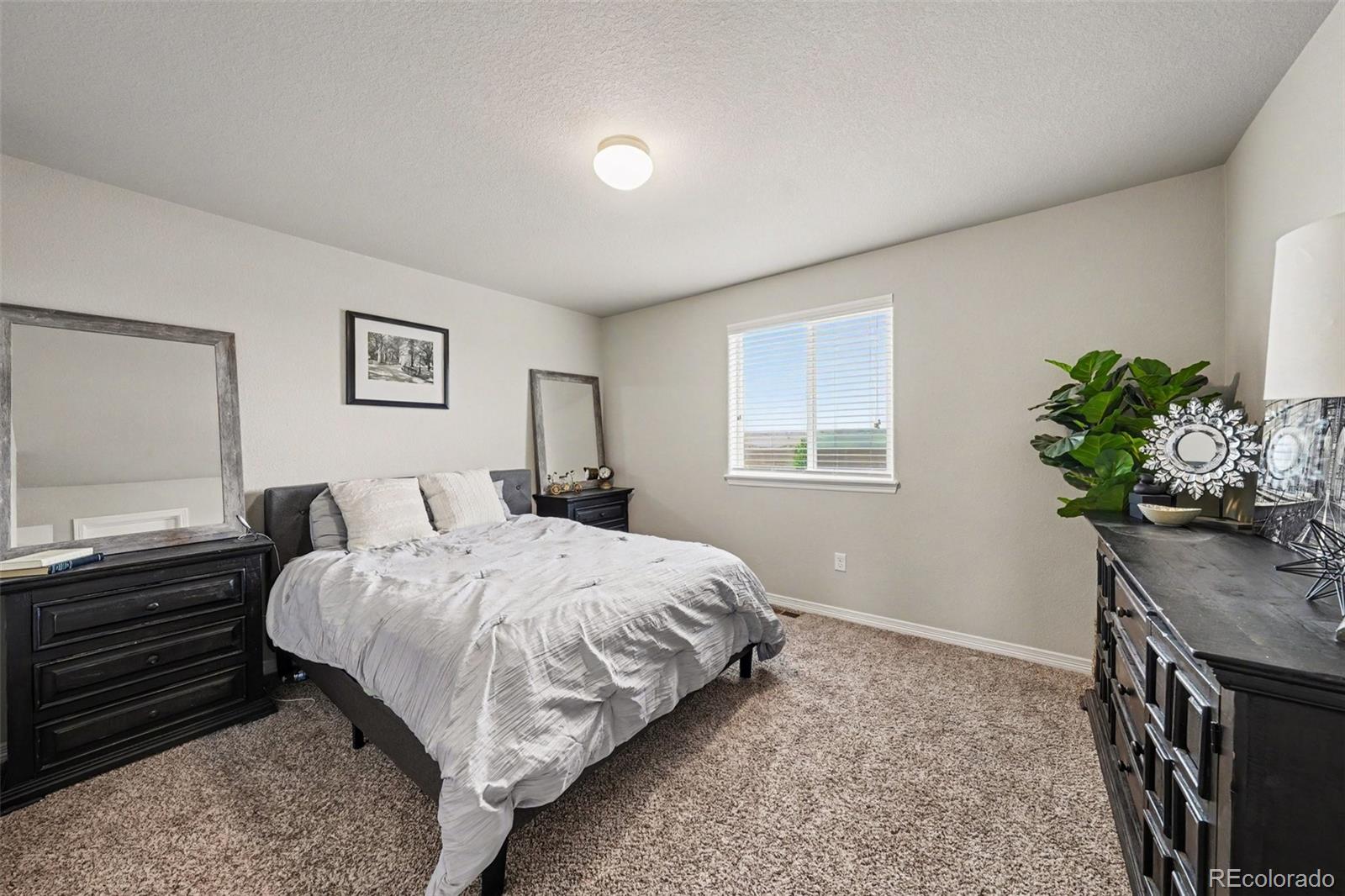 MLS Image #8 for 14877  lineback drive,mead, Colorado