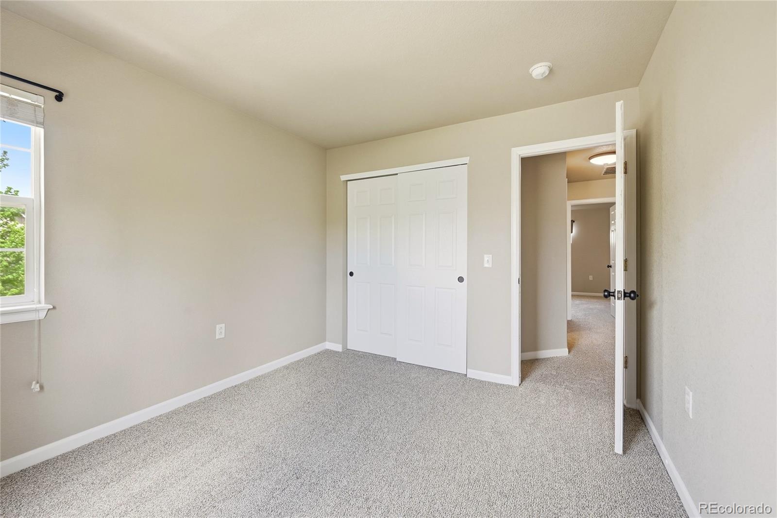 MLS Image #21 for 1471  nemrick place,castle rock, Colorado