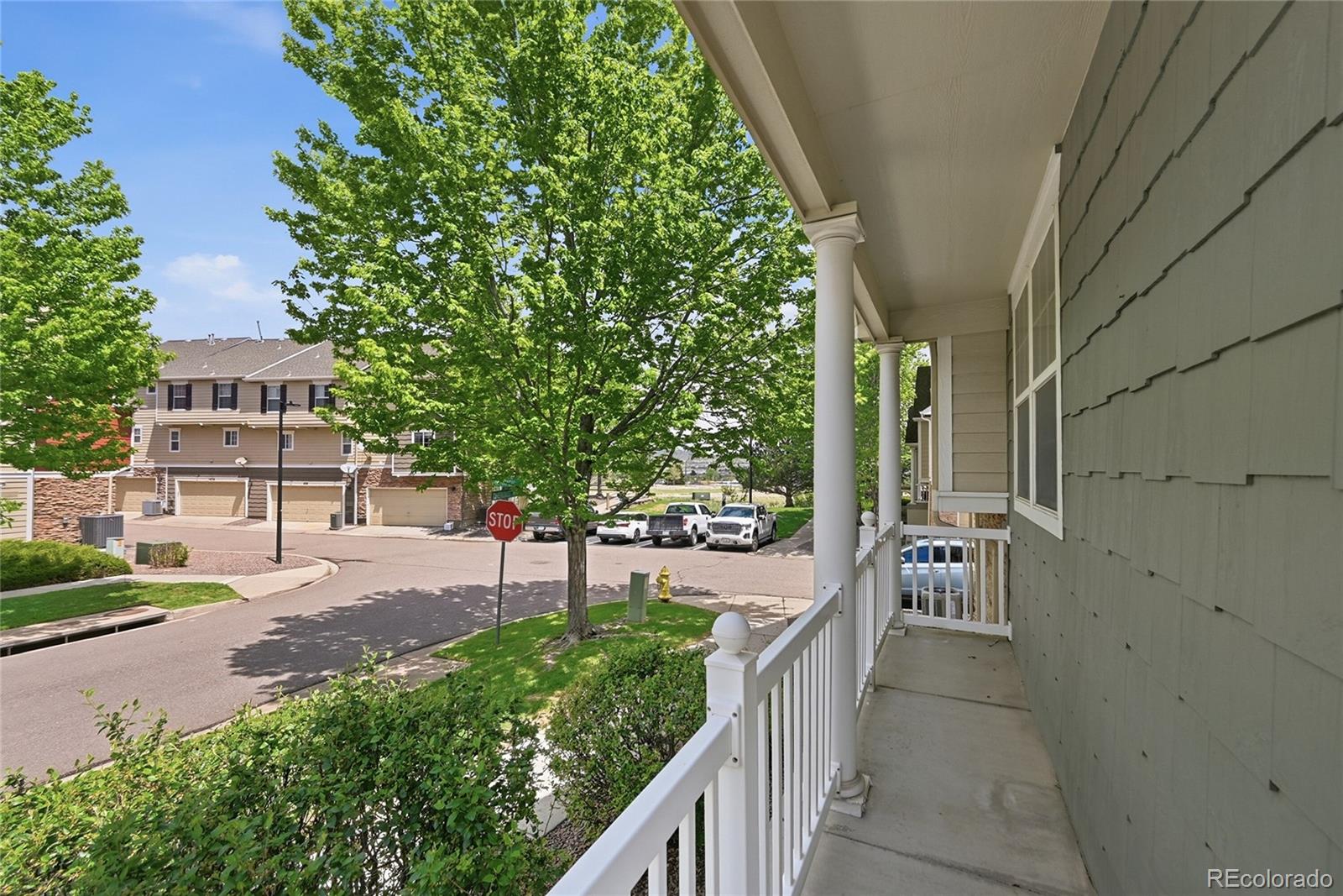 MLS Image #24 for 1471  nemrick place,castle rock, Colorado
