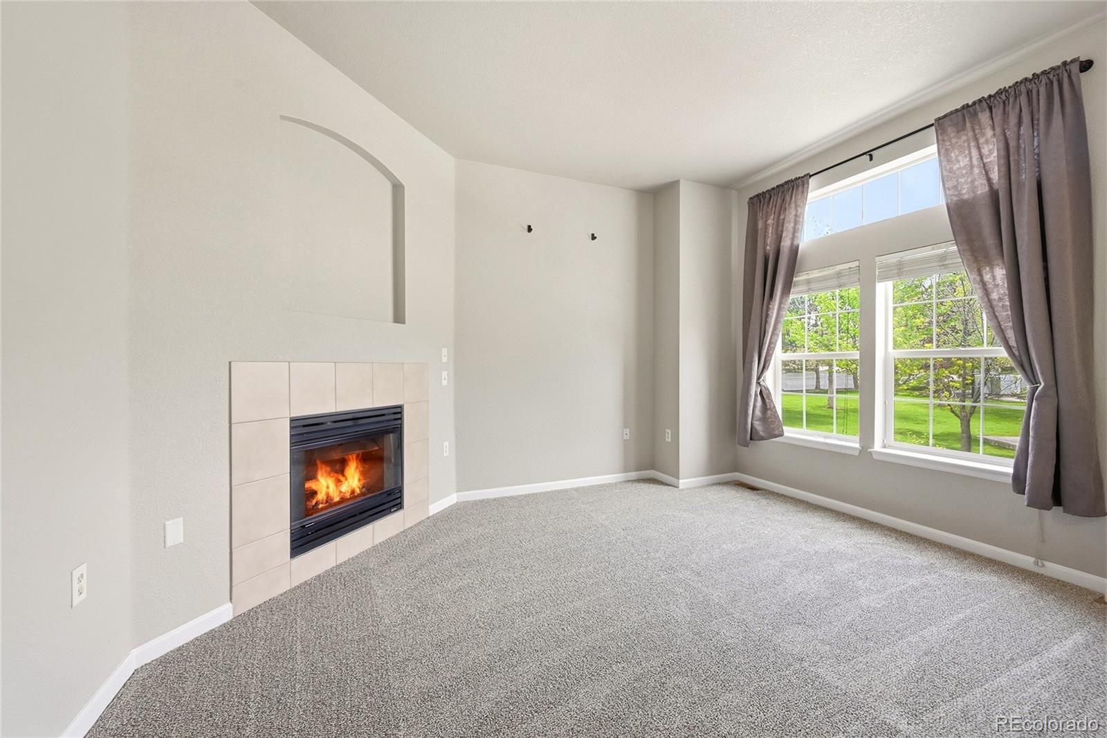 MLS Image #3 for 1471  nemrick place,castle rock, Colorado