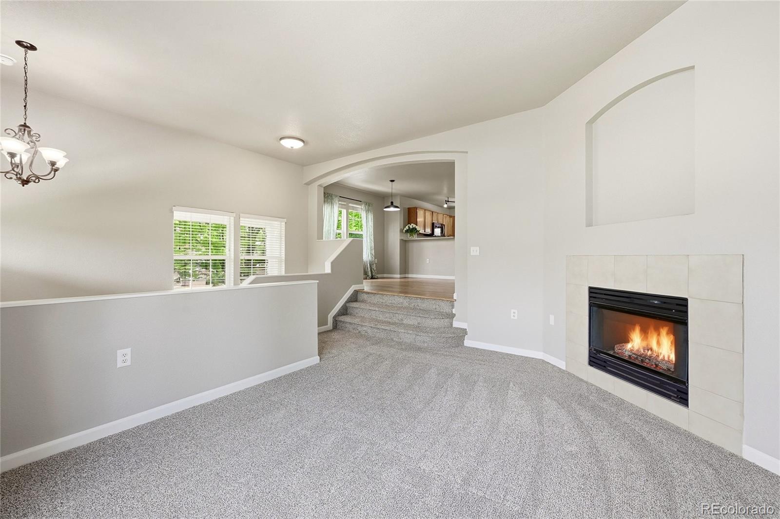 MLS Image #5 for 1471  nemrick place,castle rock, Colorado