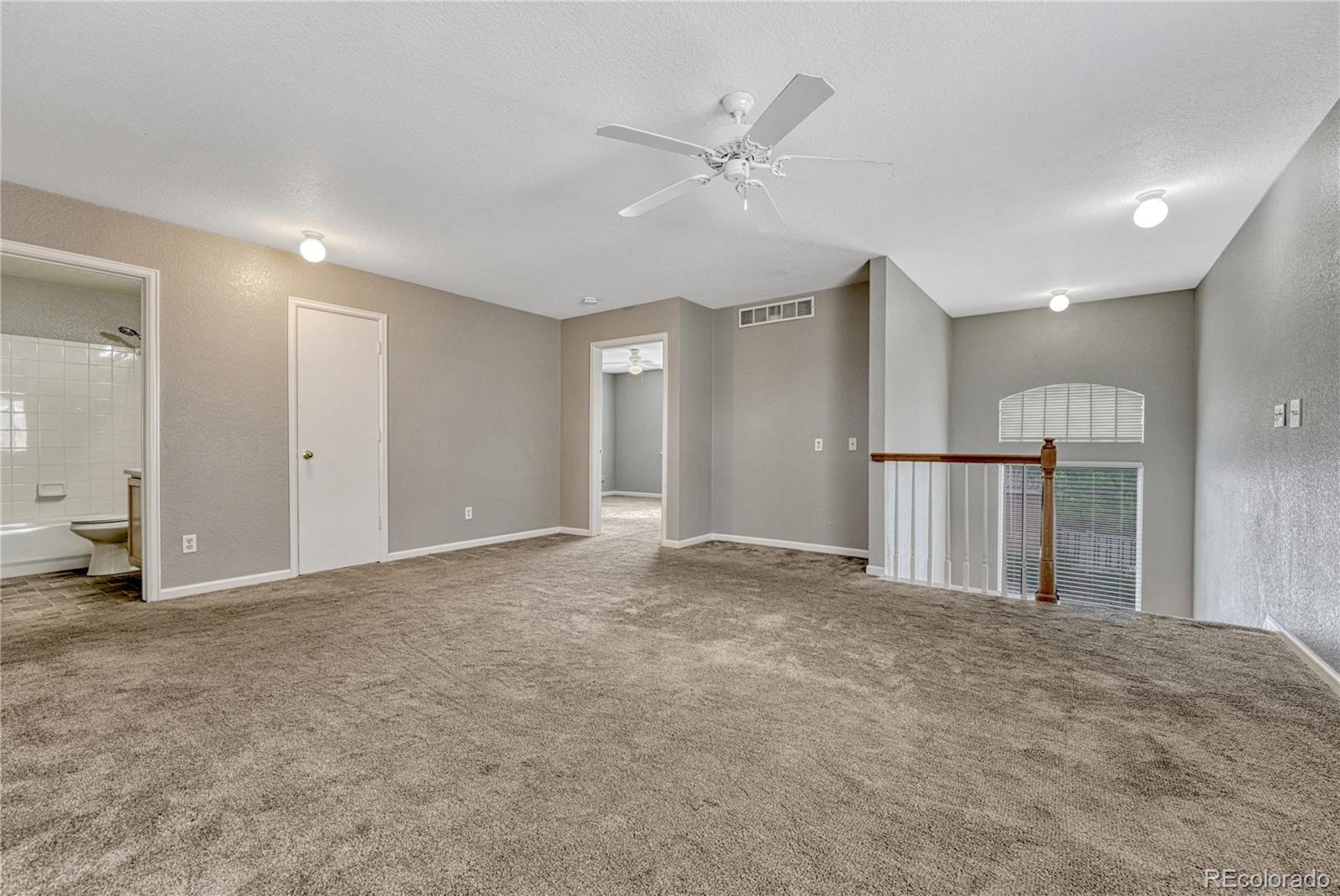 MLS Image #16 for 21539 e 47th avenue,denver, Colorado