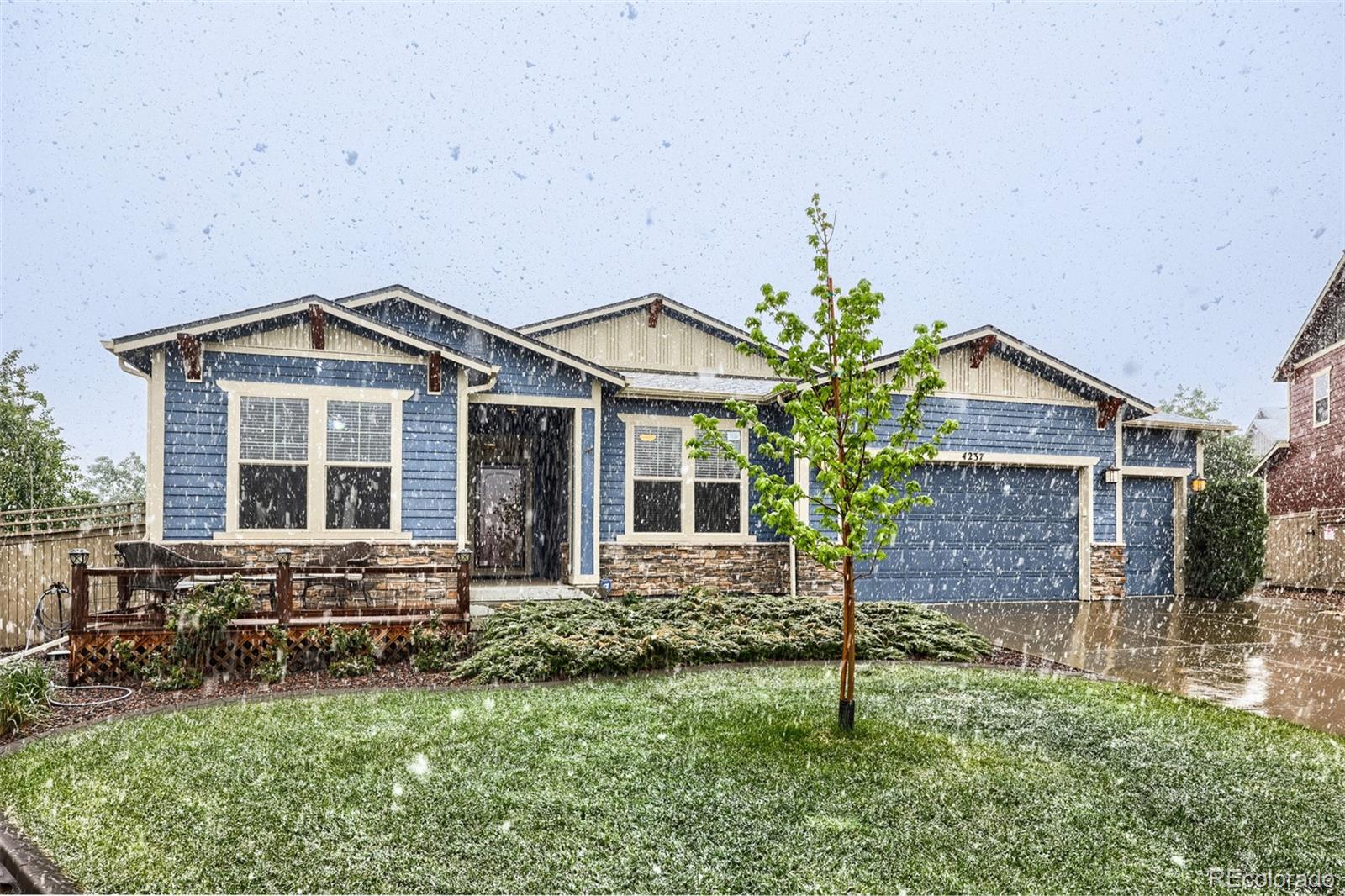 MLS Image #2 for 4237  manorbrier court,castle rock, Colorado