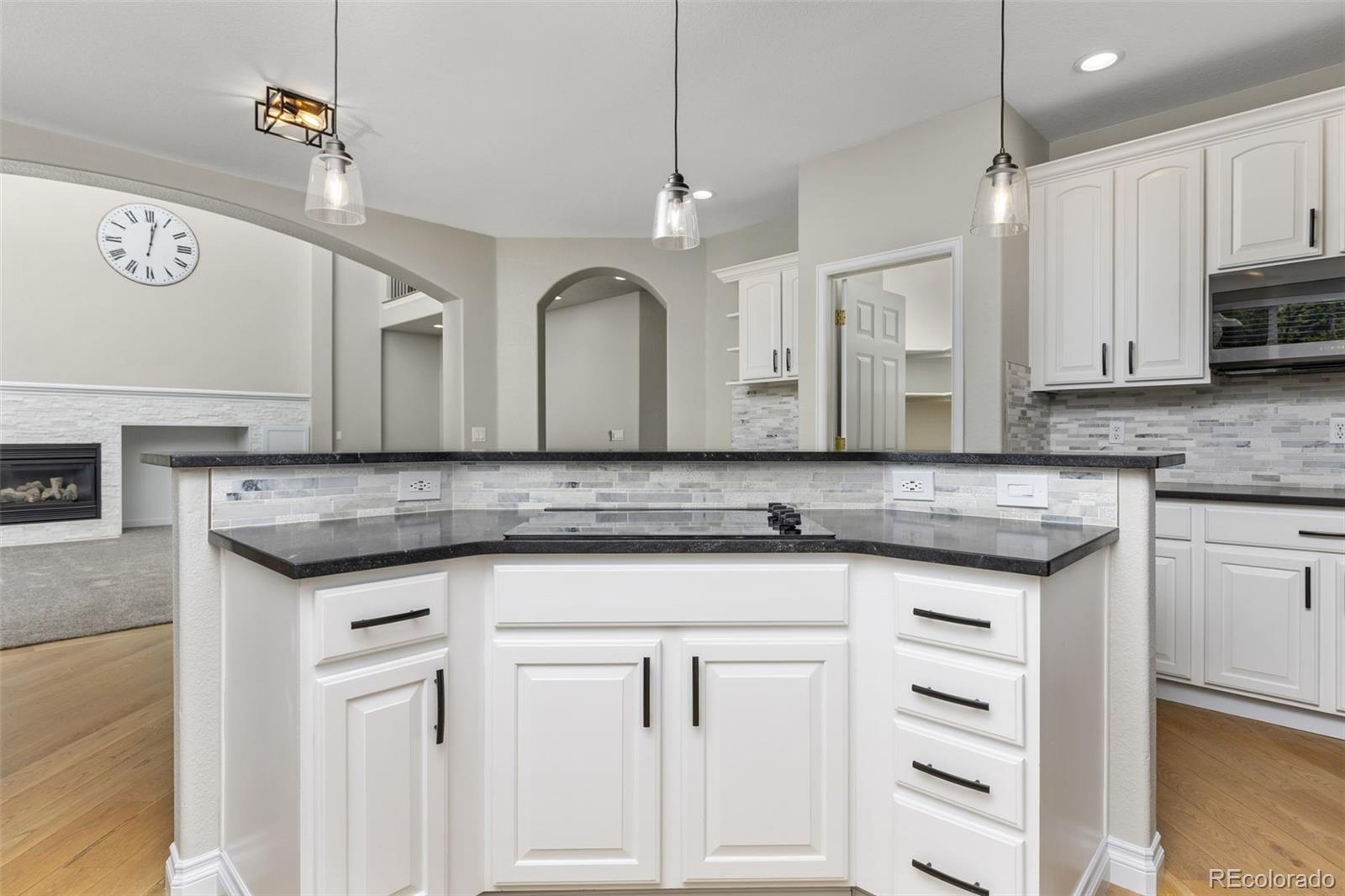 MLS Image #15 for 14075  willow wood court,broomfield, Colorado