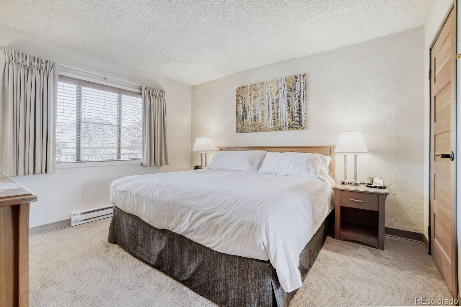 MLS Image #13 for 500 s frontage road,vail, Colorado