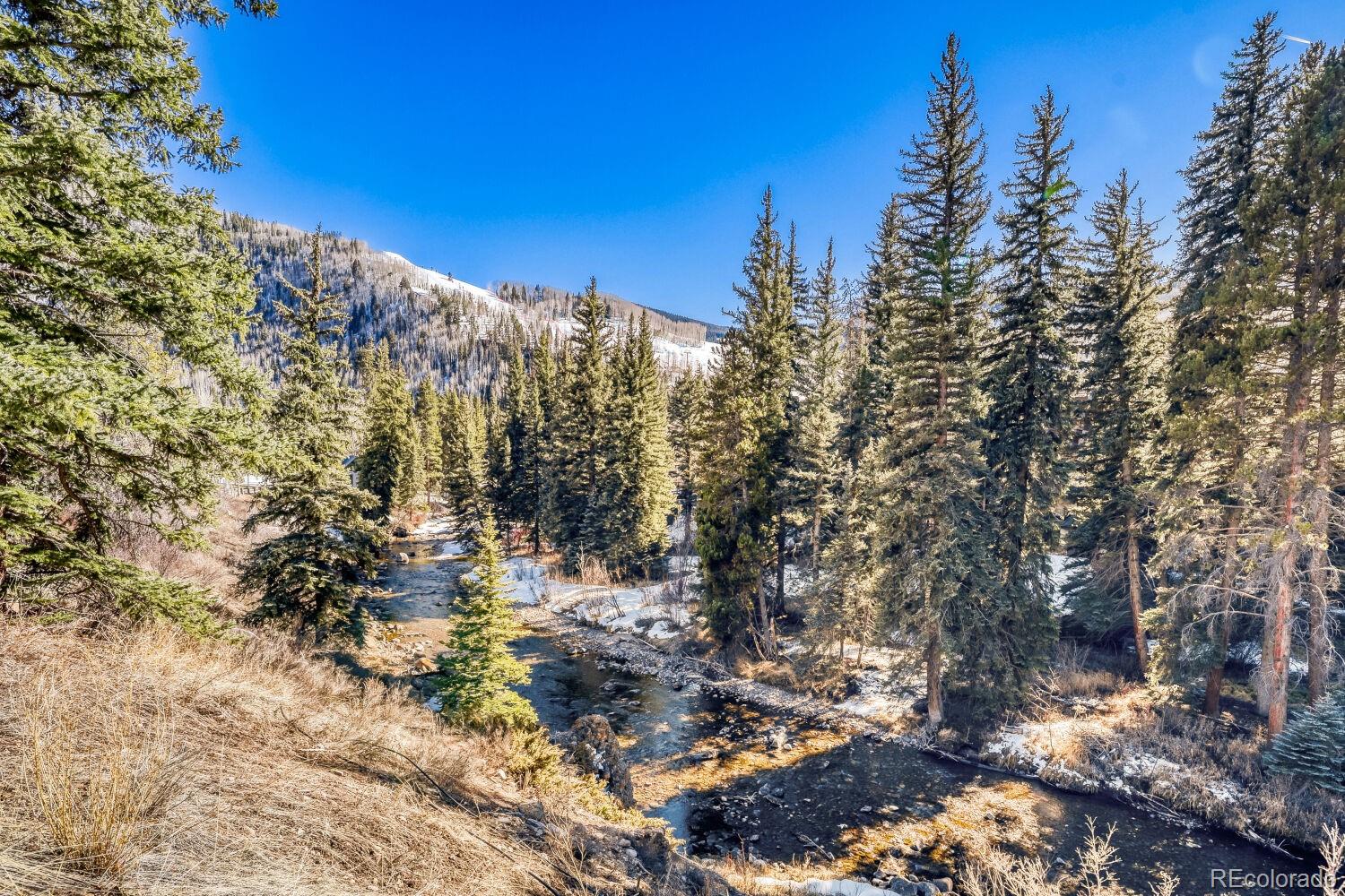 MLS Image #26 for 500 s frontage road,vail, Colorado