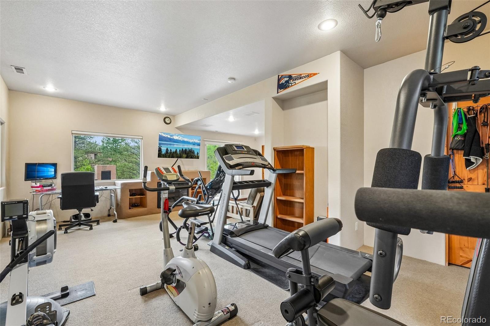 MLS Image #39 for 706  orion starview ,colorado springs, Colorado