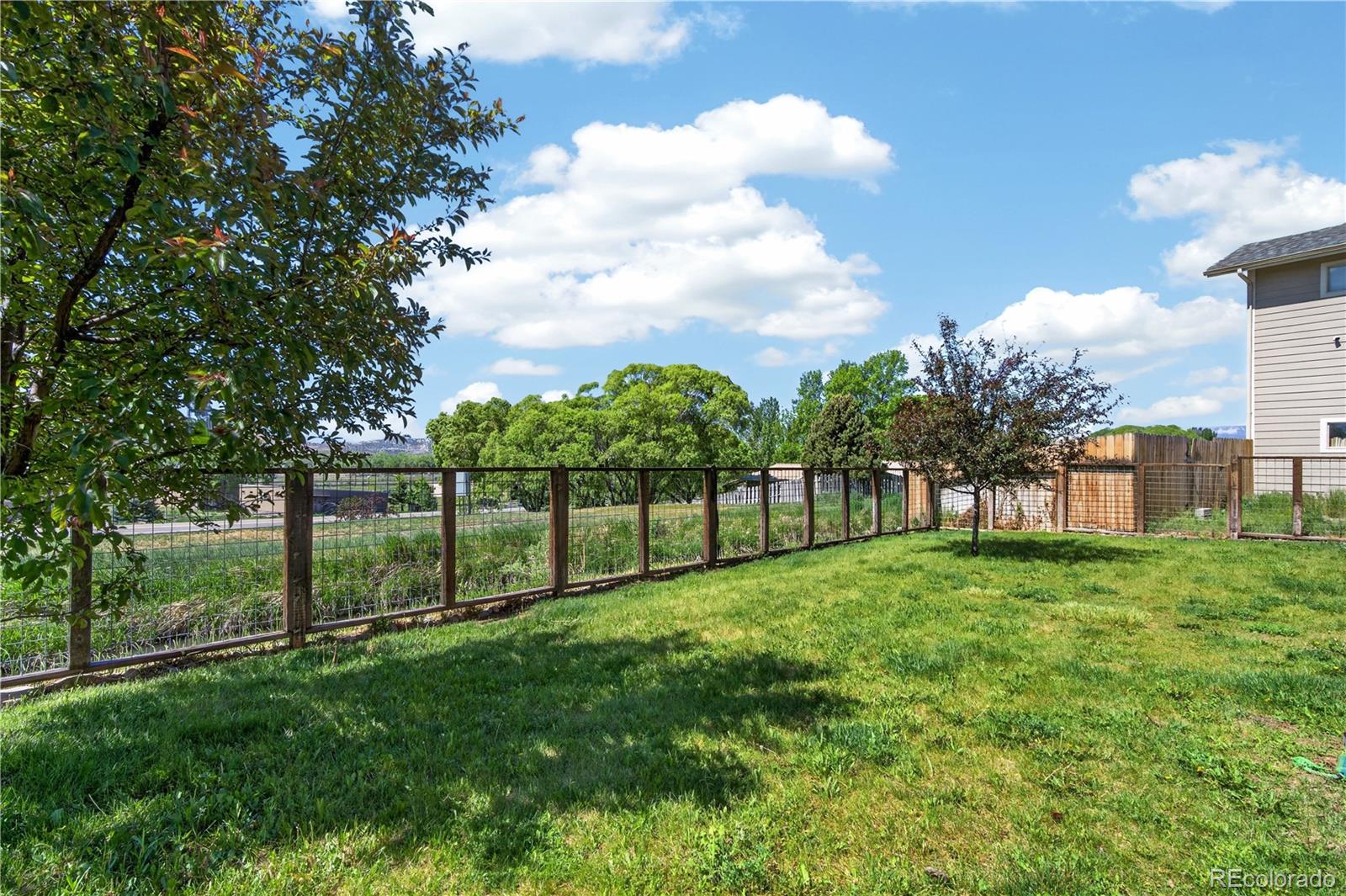 MLS Image #29 for 233  roan court,silt, Colorado