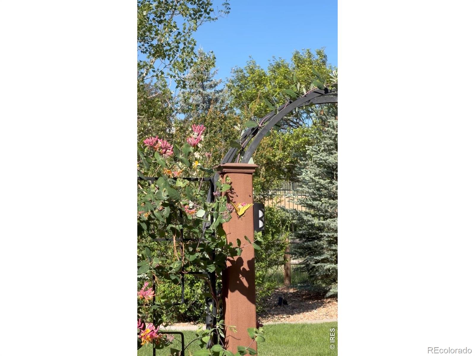 MLS Image #46 for 6421  jordan drive,loveland, Colorado
