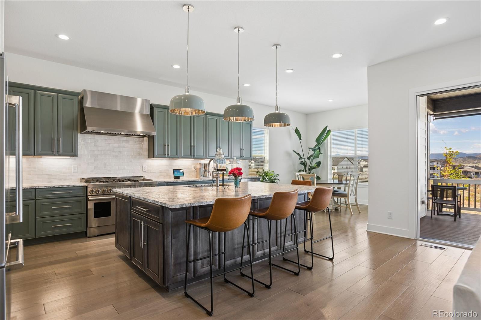 MLS Image #12 for 665  coal bank trail,castle rock, Colorado