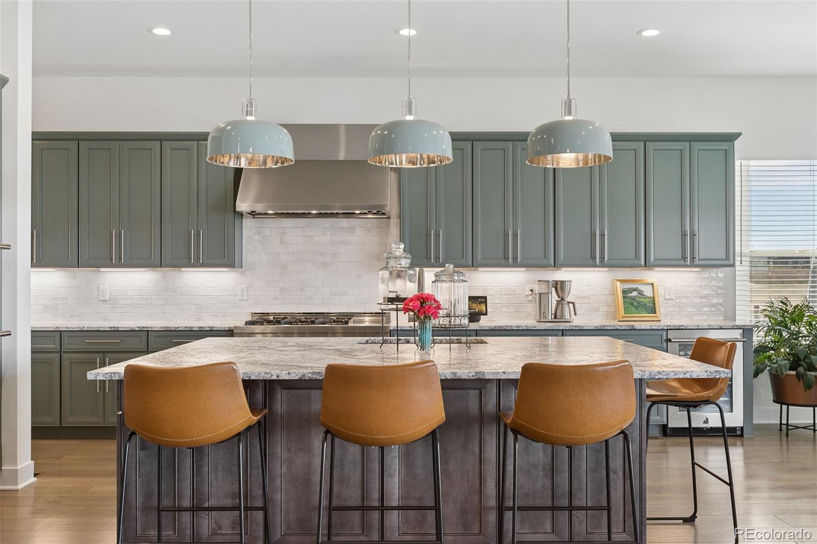 MLS Image #13 for 665  coal bank trail,castle rock, Colorado