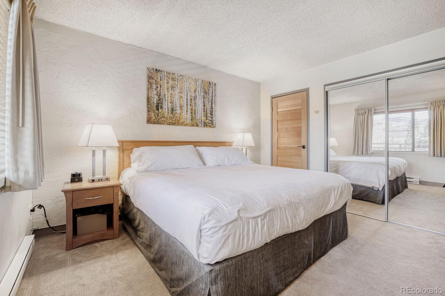 MLS Image #14 for 500 s frontage road,vail, Colorado
