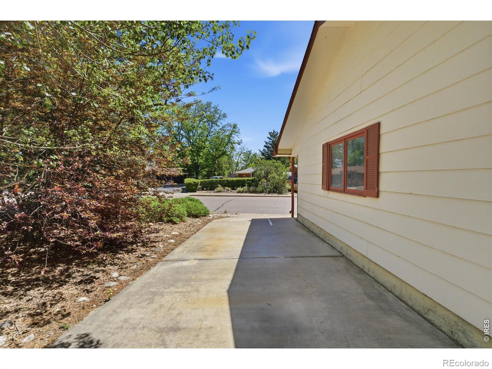 MLS Image #5 for 3303  barela court,loveland, Colorado