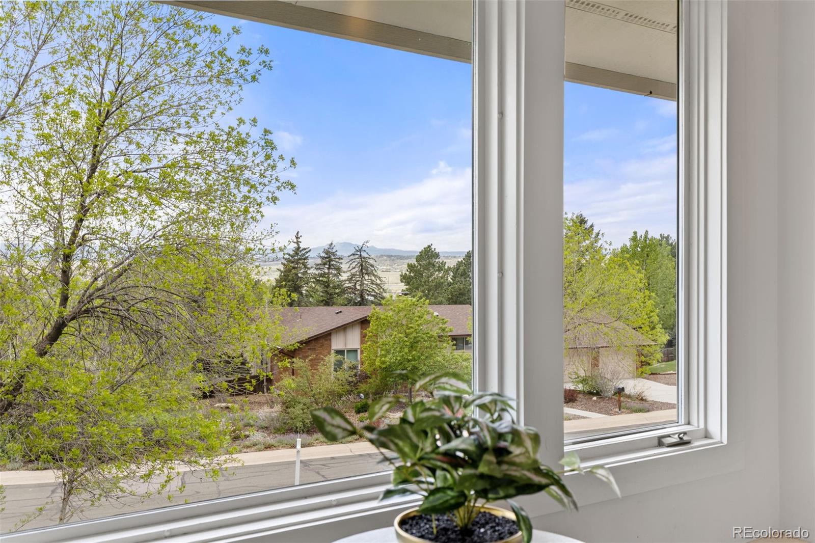 MLS Image #7 for 33  oakridge drive,castle rock, Colorado