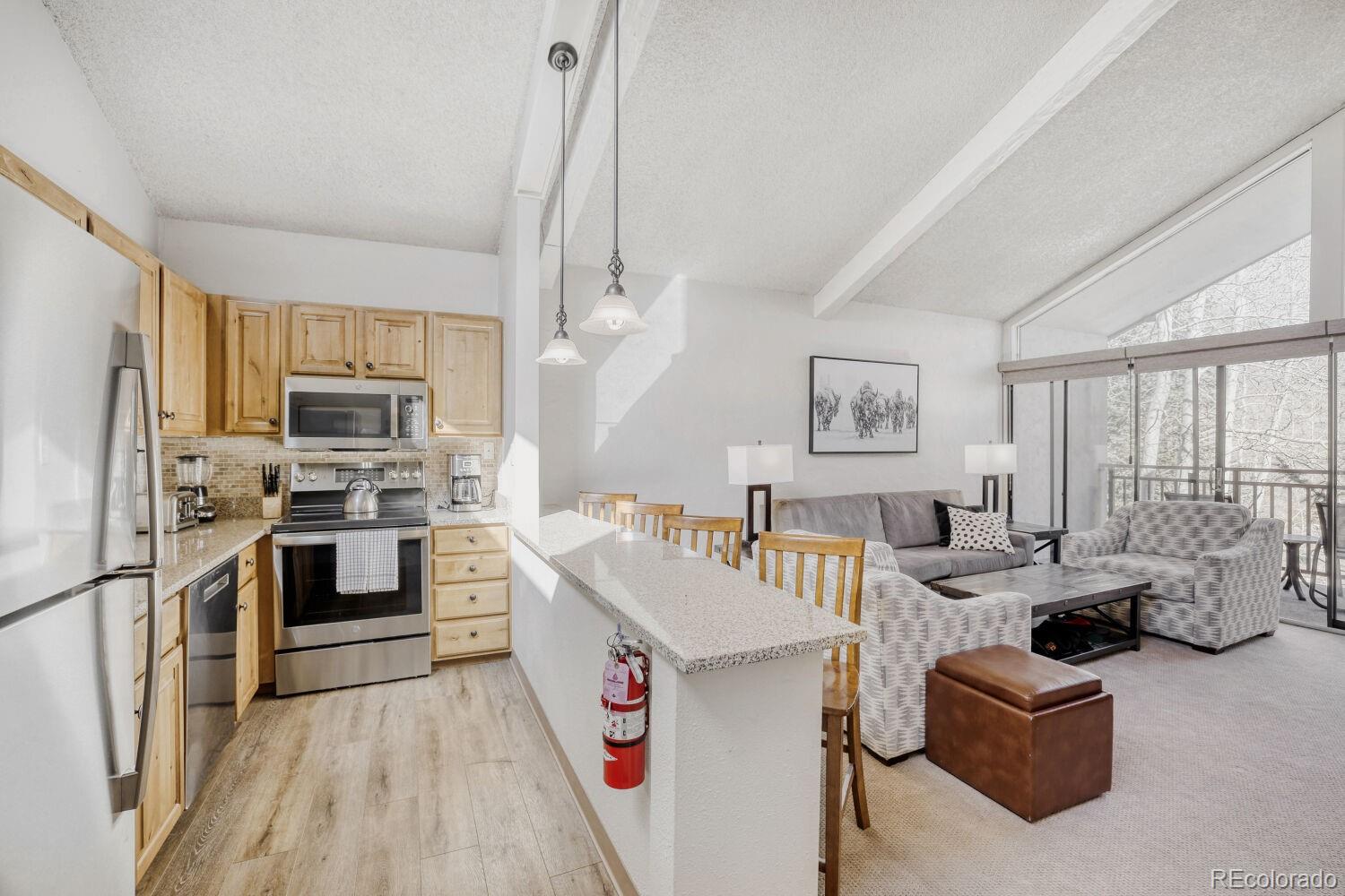 MLS Image #4 for 500 s frontage road,vail, Colorado