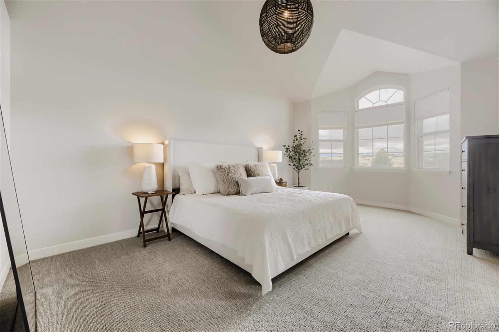 MLS Image #12 for 2943  mount royal drive ,castle rock, Colorado
