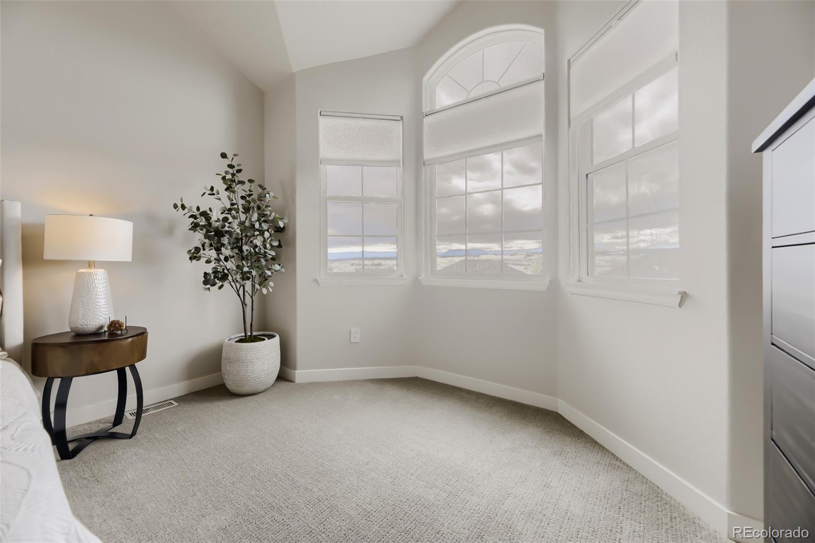 MLS Image #14 for 2943  mount royal drive ,castle rock, Colorado