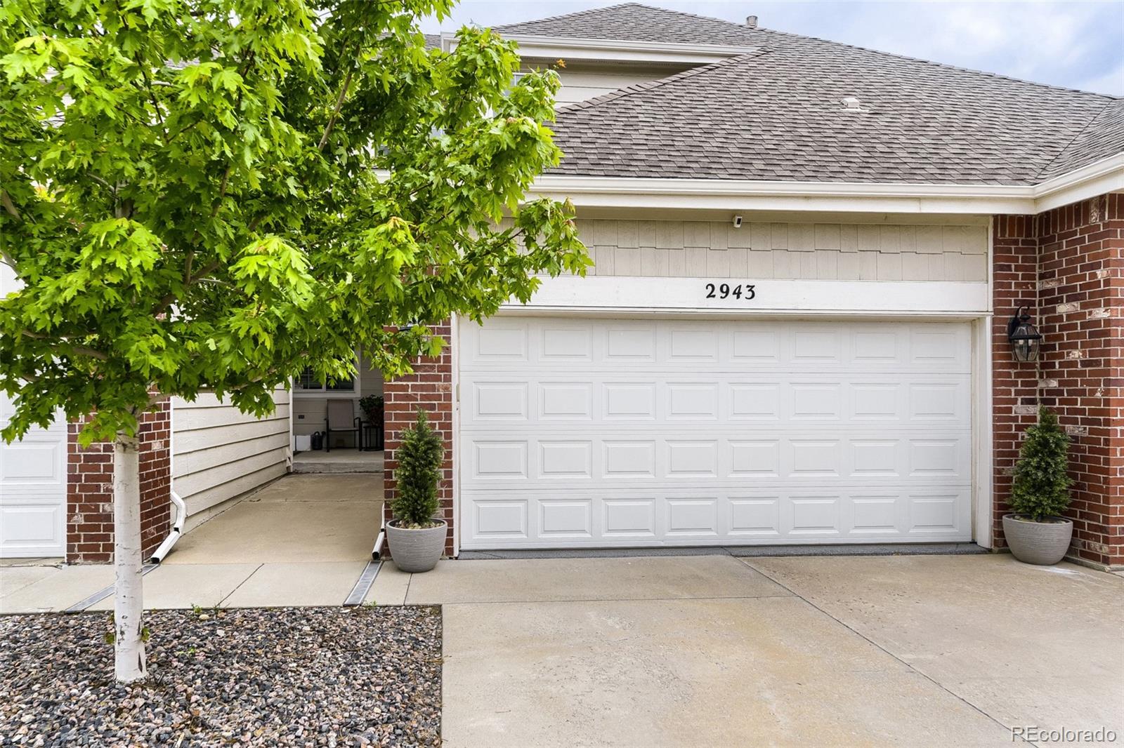 MLS Image #30 for 2943  mount royal drive ,castle rock, Colorado