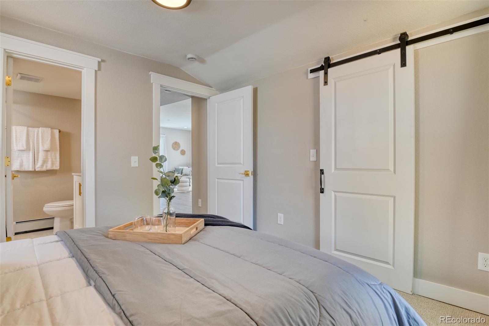 MLS Image #43 for 2315 w kiowa street,colorado springs, Colorado