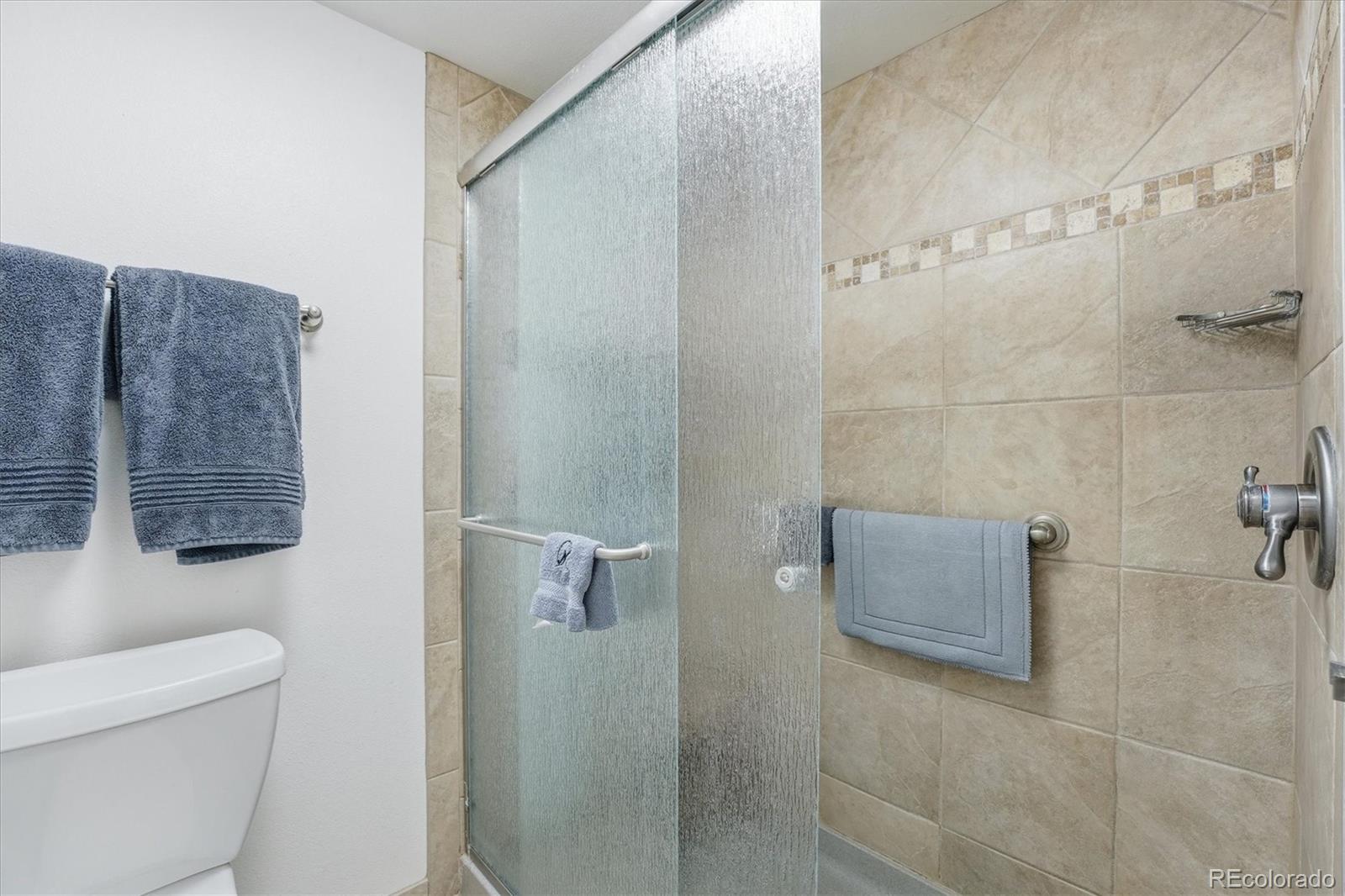 MLS Image #32 for 1304  briar circle,highlands ranch, Colorado