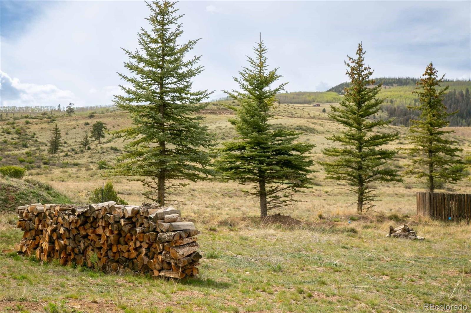 MLS Image #46 for 227  bee mcclure drive,creede, Colorado