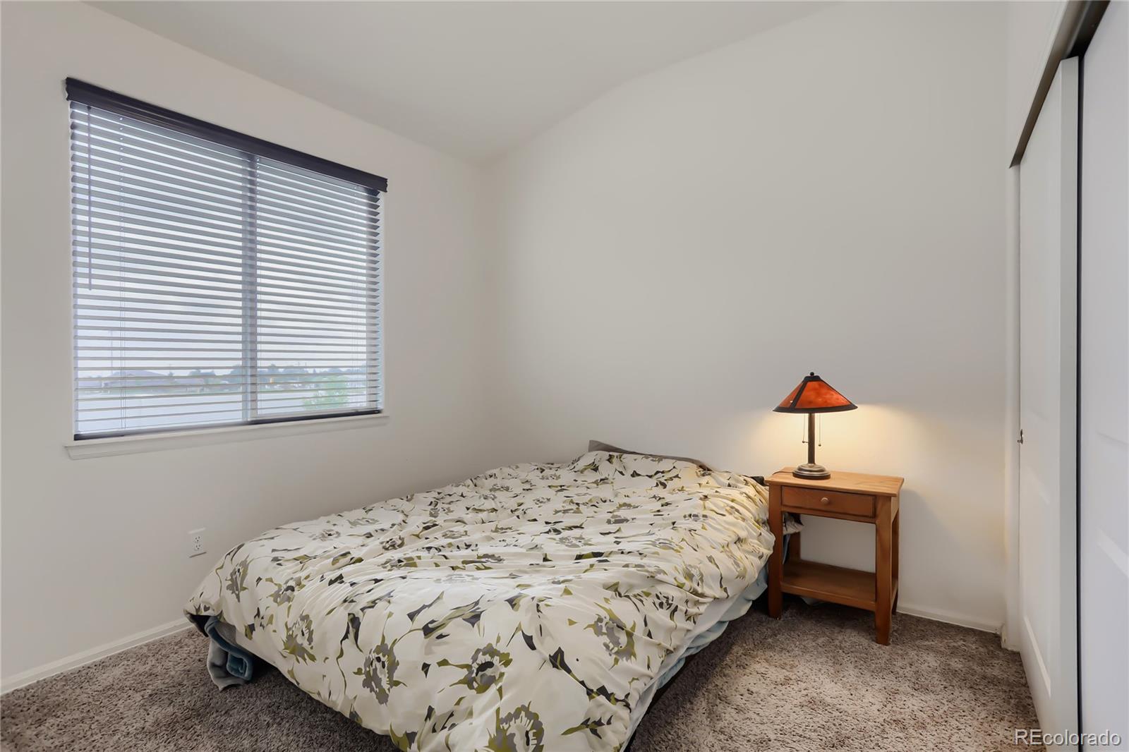 MLS Image #16 for 3308  auklet drive,berthoud, Colorado