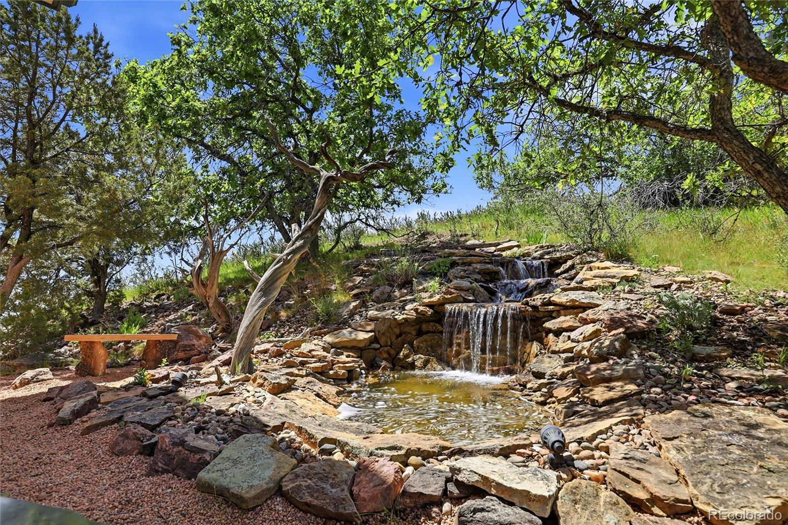 MLS Image #4 for 16444  sunflower lane,morrison, Colorado