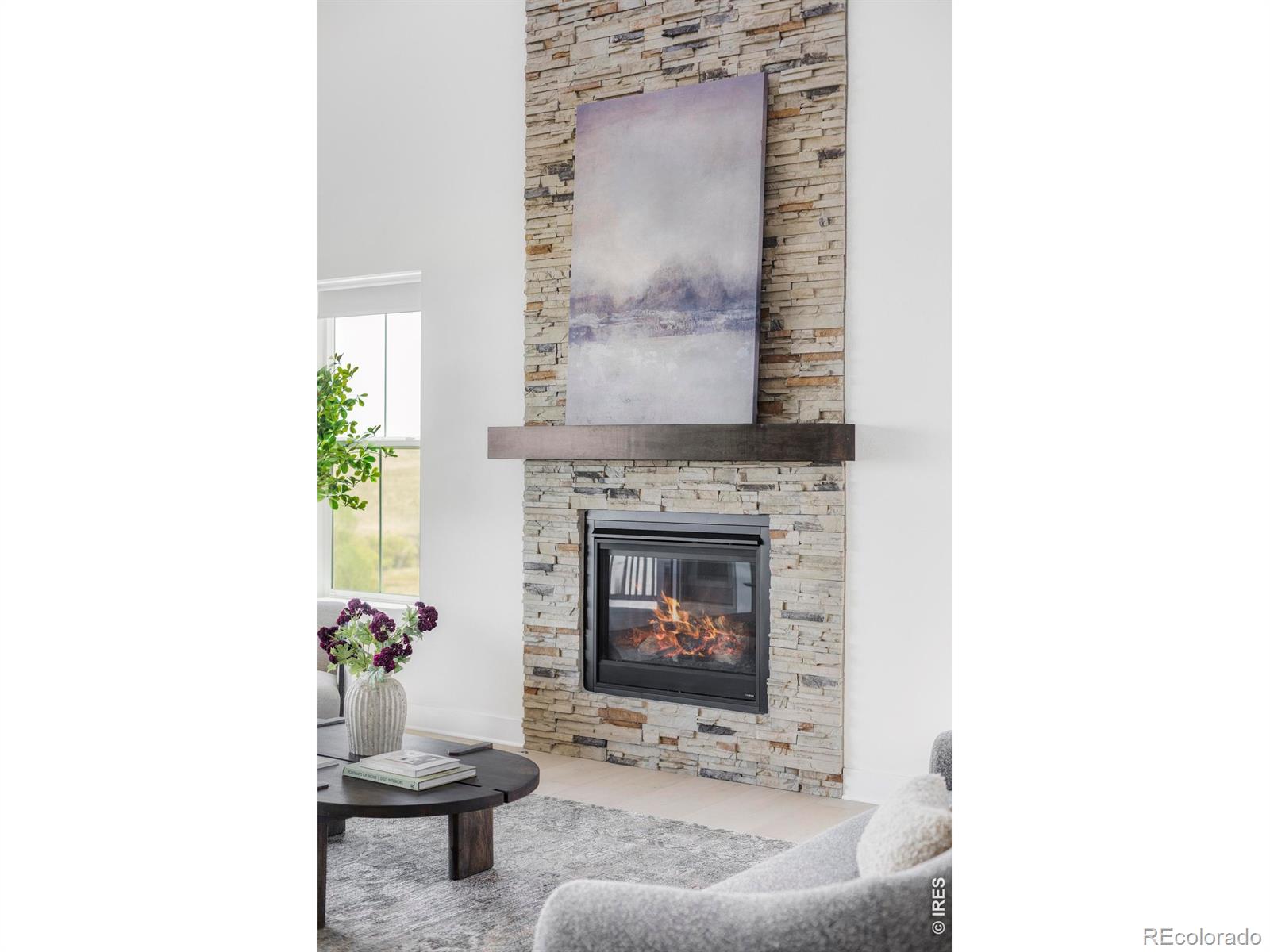 MLS Image #9 for 6638 s white crow court,aurora, Colorado