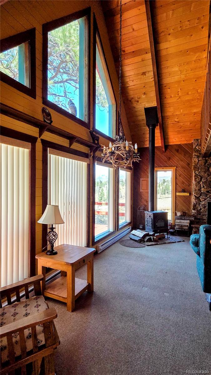 MLS Image #10 for 1010  foy place,fort garland, Colorado