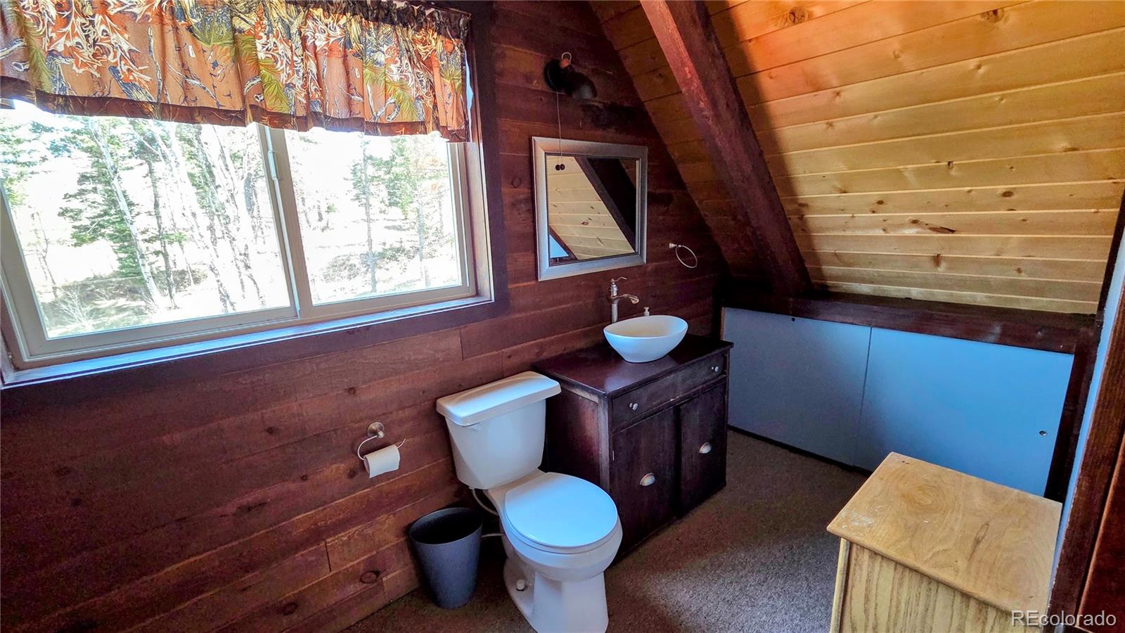 MLS Image #21 for 1010  foy place,fort garland, Colorado