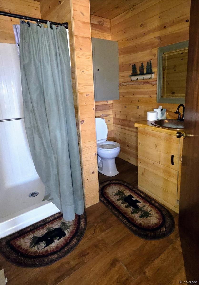 MLS Image #23 for 1010  foy place,fort garland, Colorado
