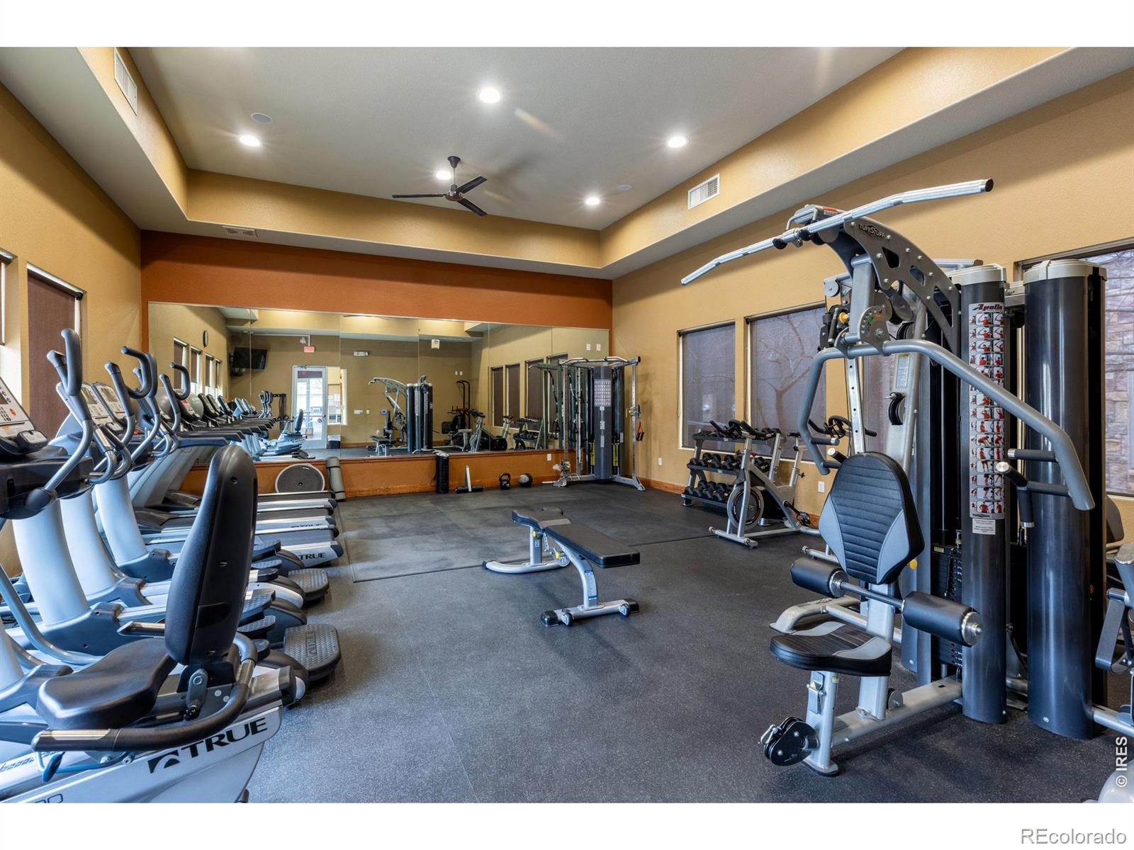 MLS Image #43 for 13516  via varra ,broomfield, Colorado