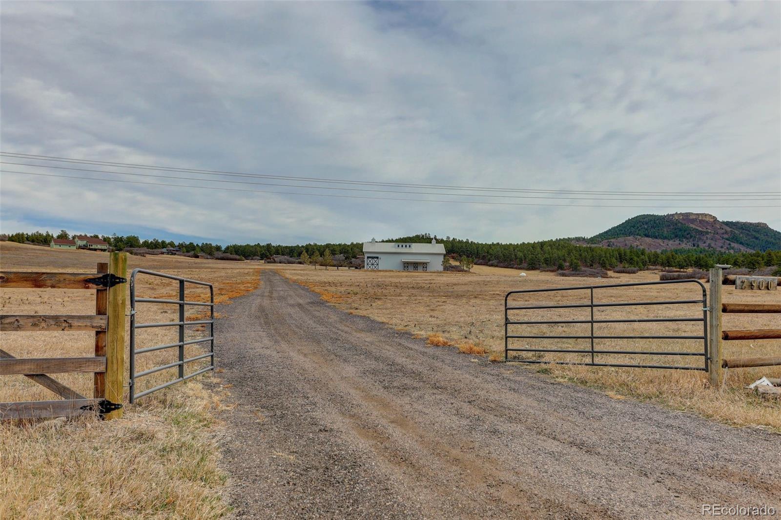 MLS Image #3 for 2900 s perry park road,sedalia, Colorado