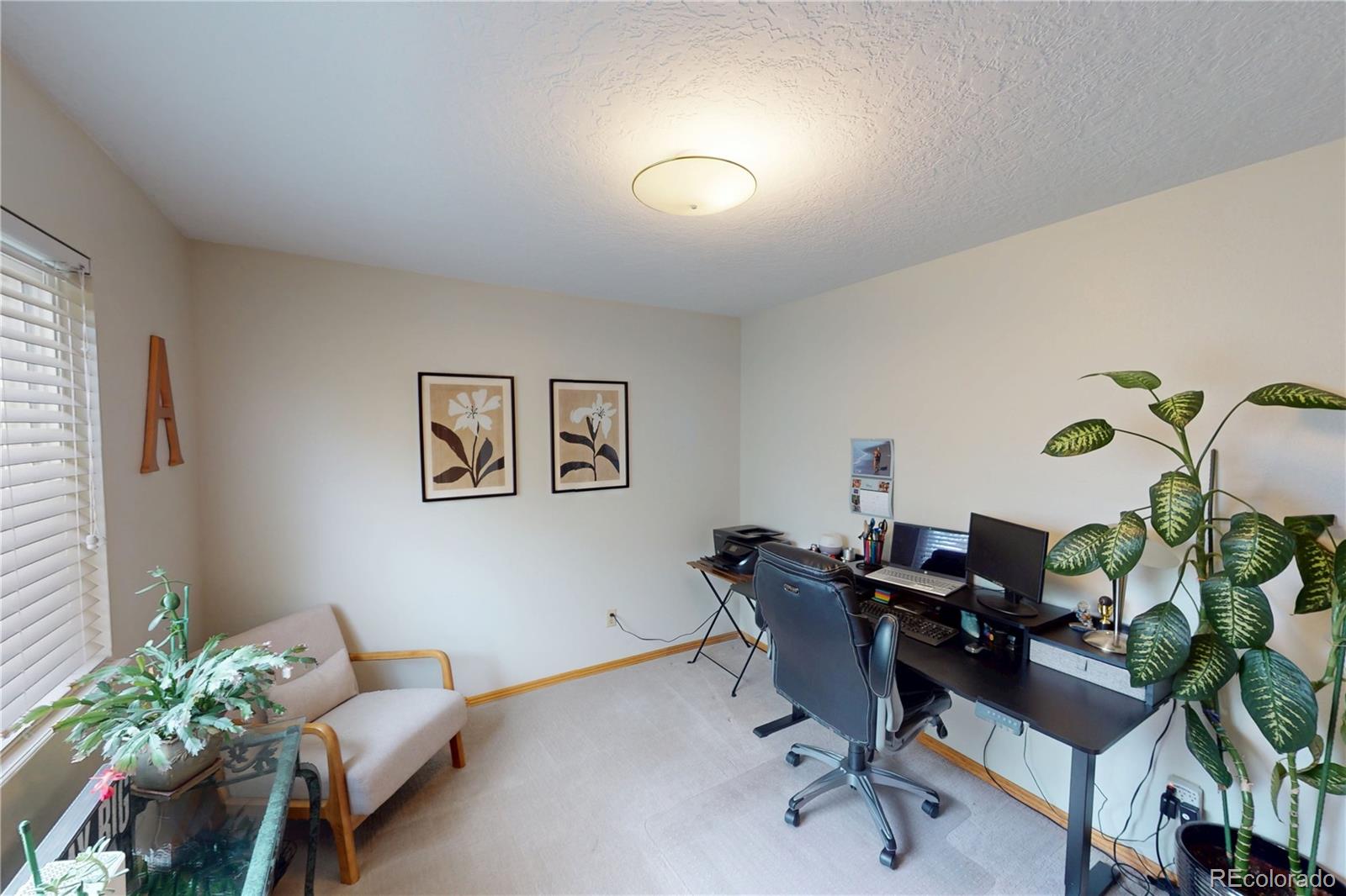 MLS Image #12 for 717  shipman mountain court,windsor, Colorado